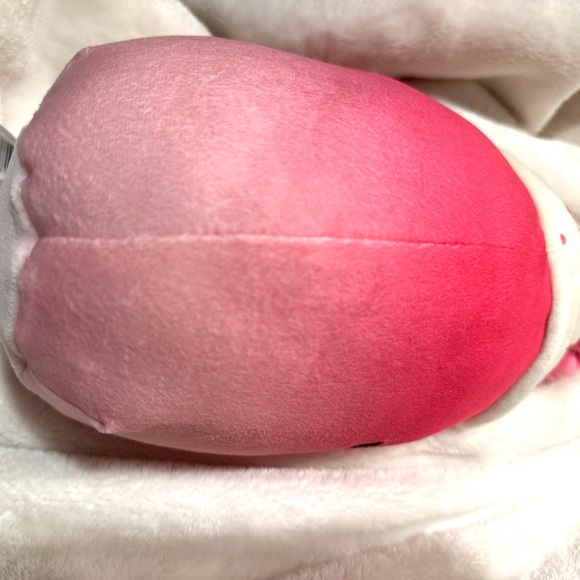 Squishmallow NWT Cinnamon ❤️Price Drop RARE 10" Non-Smoke/Pet Free/PlushNEW - Picture 6 of 9